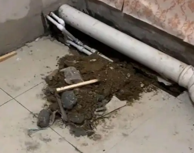 明光卫生间漏水检测哪家好